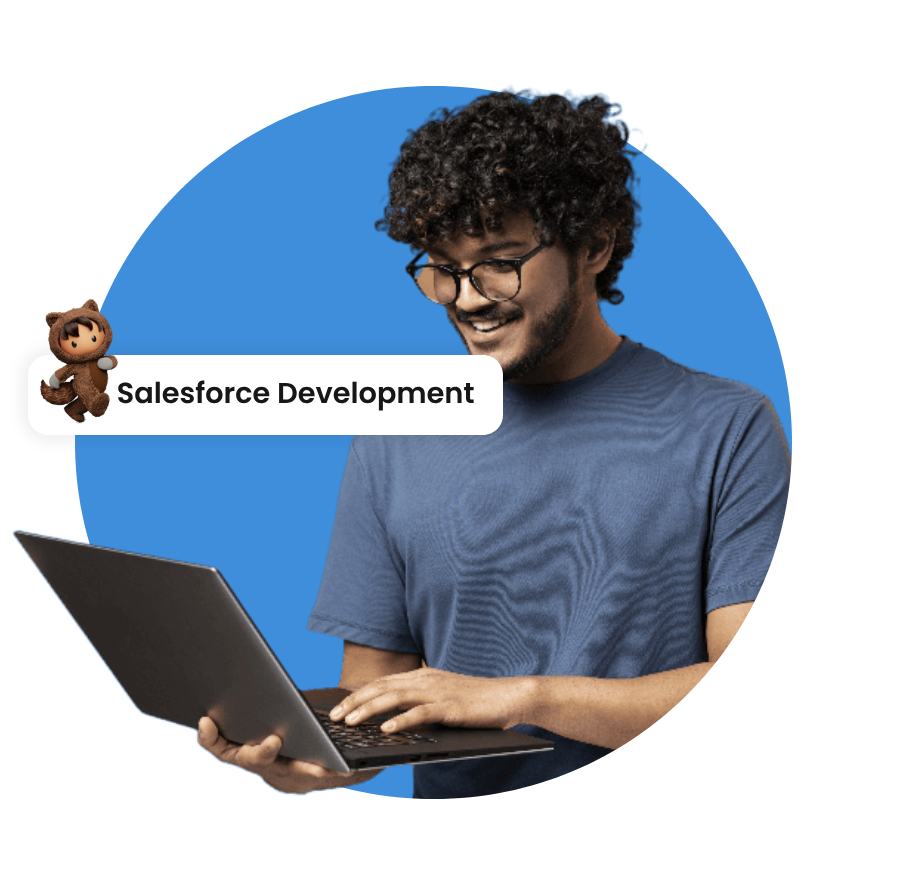 Salesforce Development Company