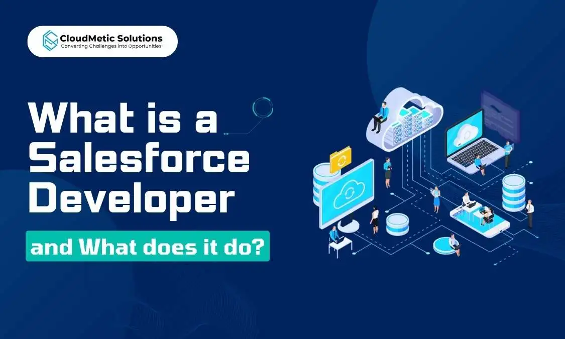 What is a Salesforce Developer and What does it do?