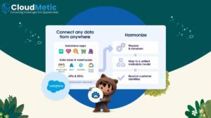 Salesforce Data Cloud Vector Database