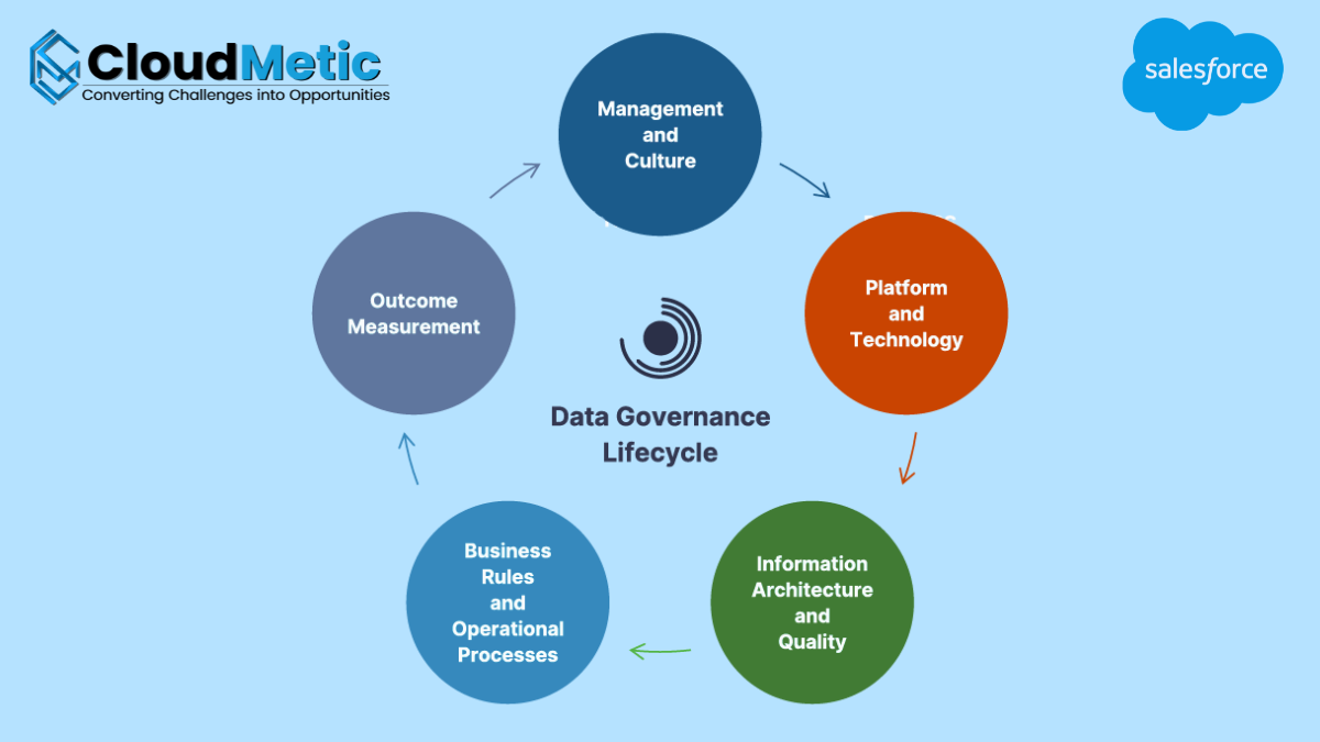 Salesforce Data Governance