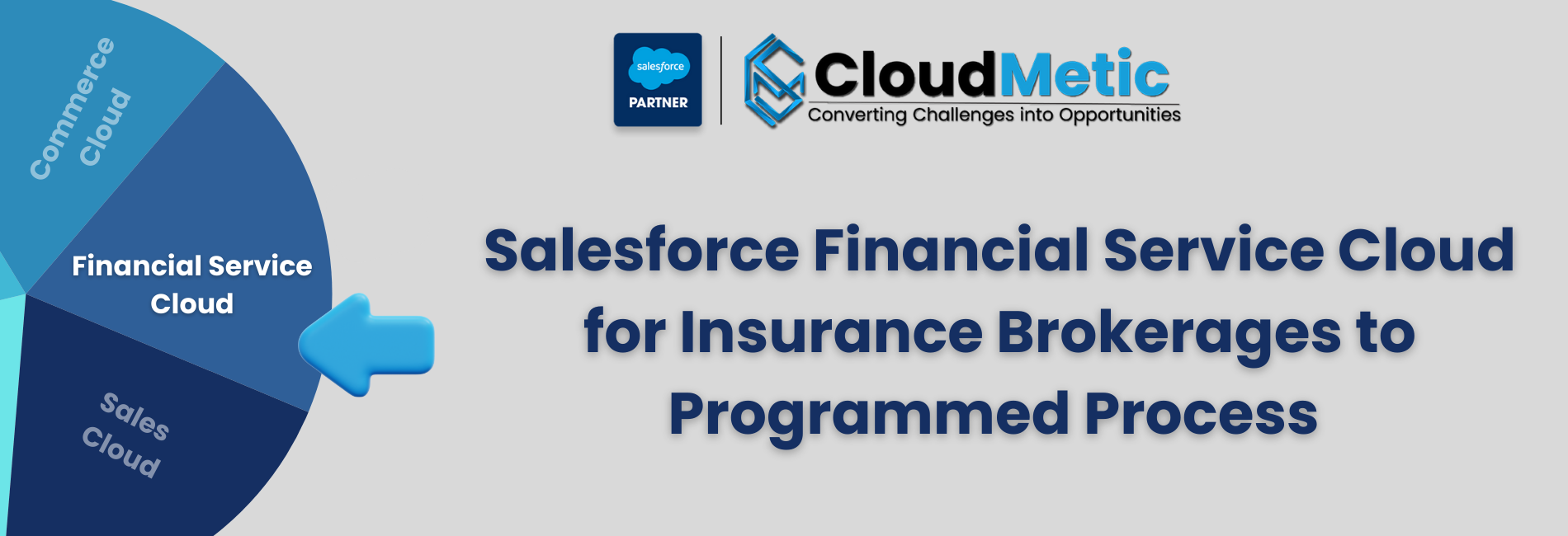 Salesforce Financial Service Cloud for Insurance Brokerages to Programmed Process