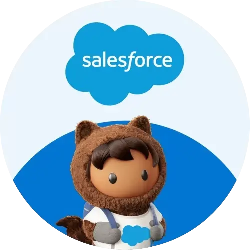 Salesforce Development Services