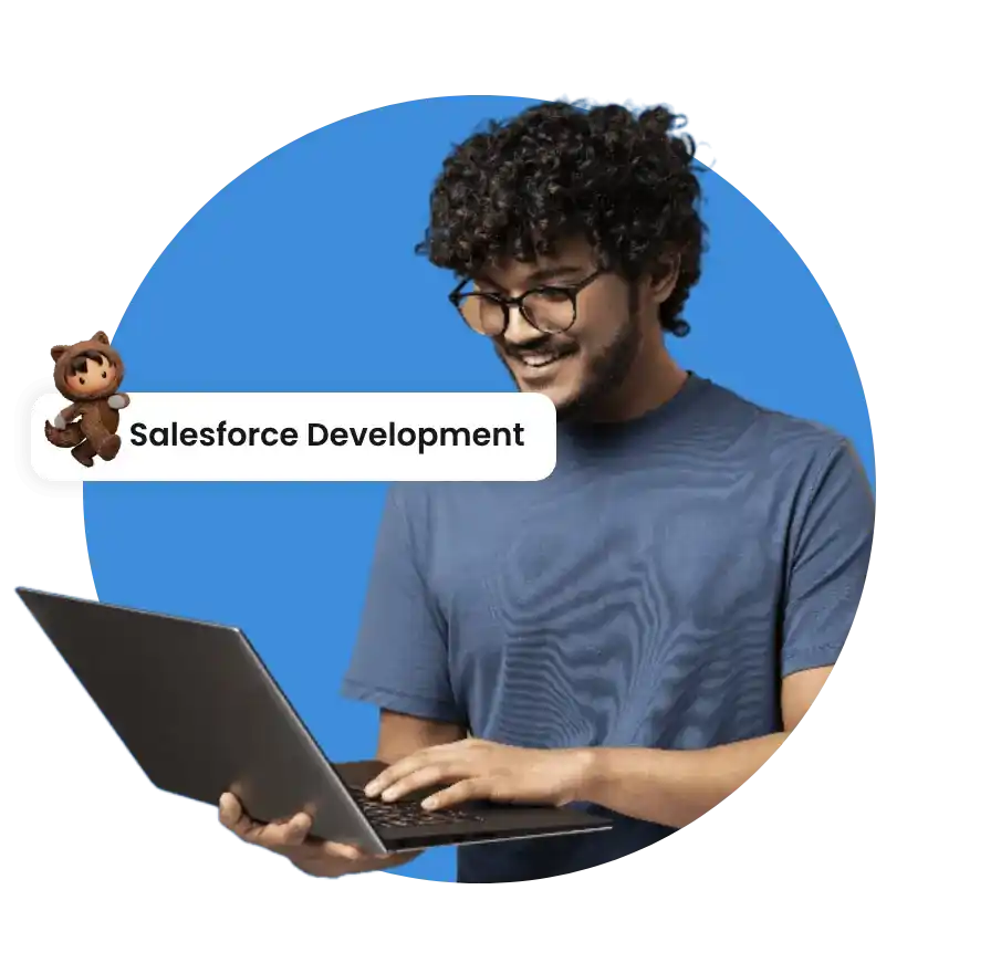 Salesforce Development Company