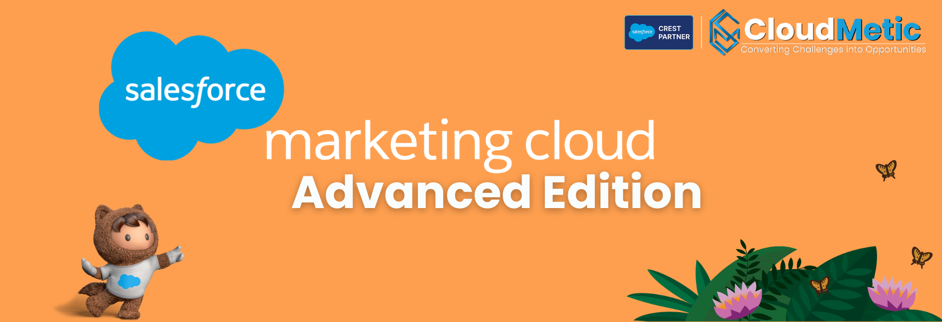 Salesforce Introduced Marketing Cloud Advanced Edition at Dreamforce 2024