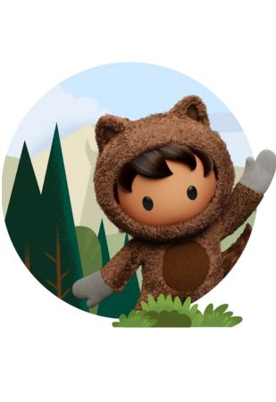salesforce consulting process by cloudmetic