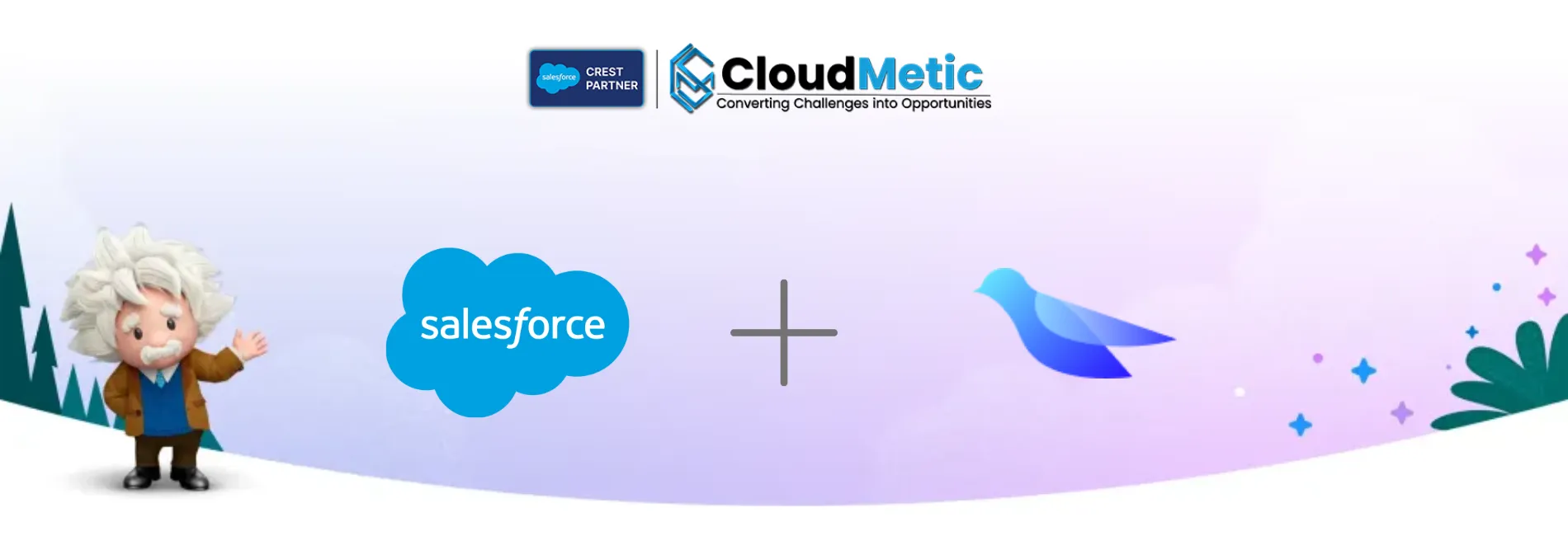 Salesforce Signs a Binding Agreement to take over Bluebirds